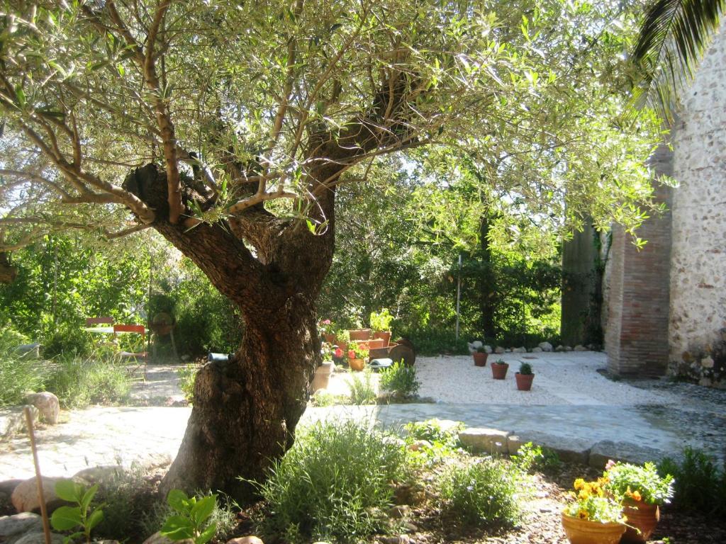 Le Chai Catalan Ortaffa Exterior foto